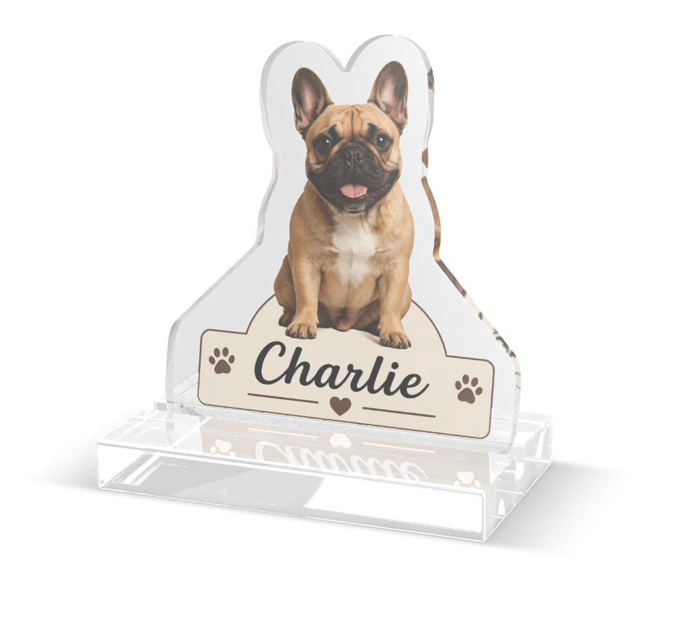 Figura Personalizada de Mascota en Acrílico
