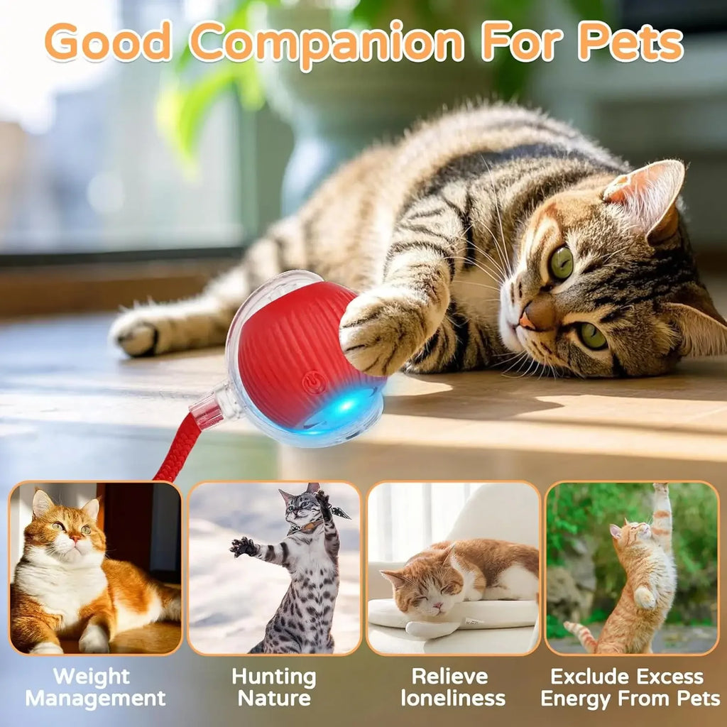 Pelota Interactiva Automática para Perros y Gatos con Cola y Movimiento Inteligente