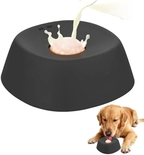 Cuenco Antisalpicaduras y Alimentación Lenta para Perros