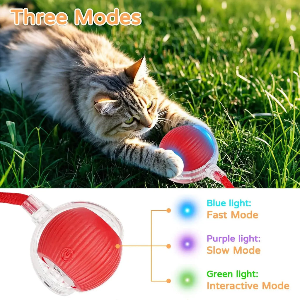 Pelota Interactiva Automática para Perros y Gatos con Cola y Movimiento Inteligente