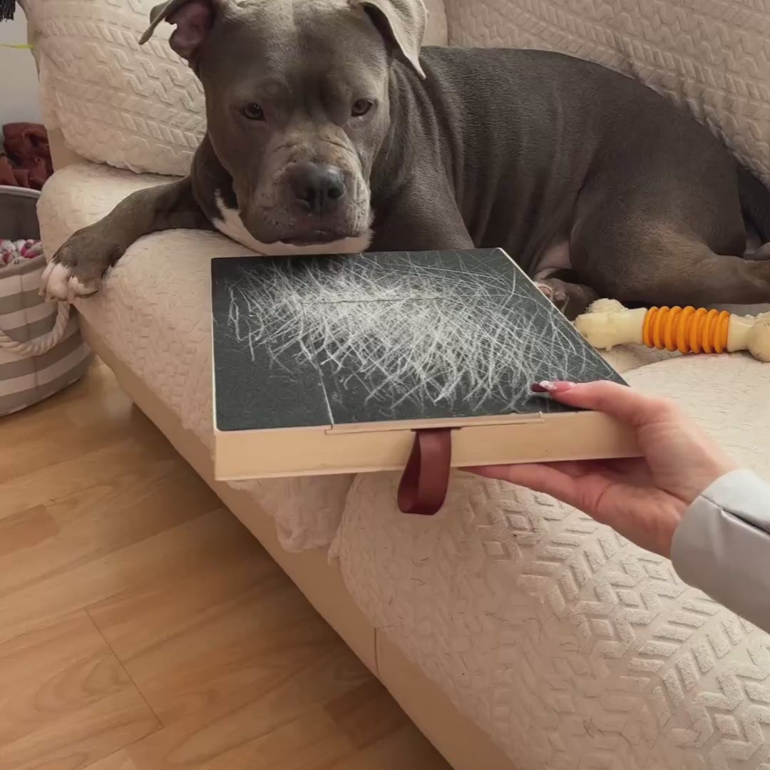 Tablero Rascador de Uñas para Perros